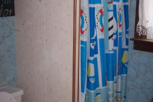 a bathroom with a toilet and a shower curtain.