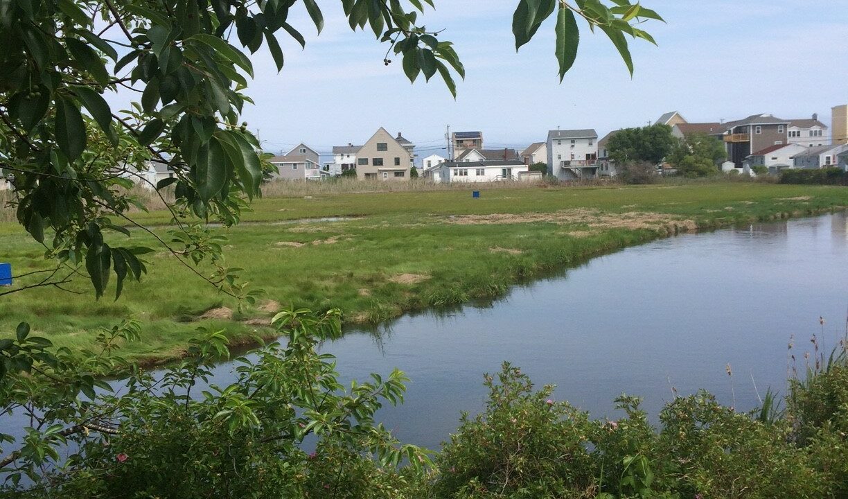 a body of water surrounded by a lush green field.