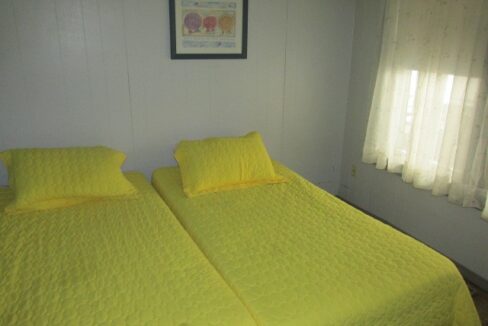 two yellow beds in a small room with a picture on the wall.