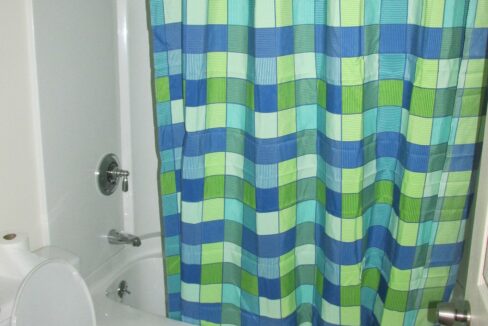 a bathroom with a blue and green checkered shower curtain.