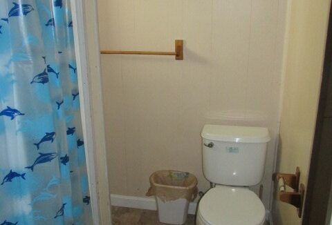 a bathroom with a toilet and a shower curtain.