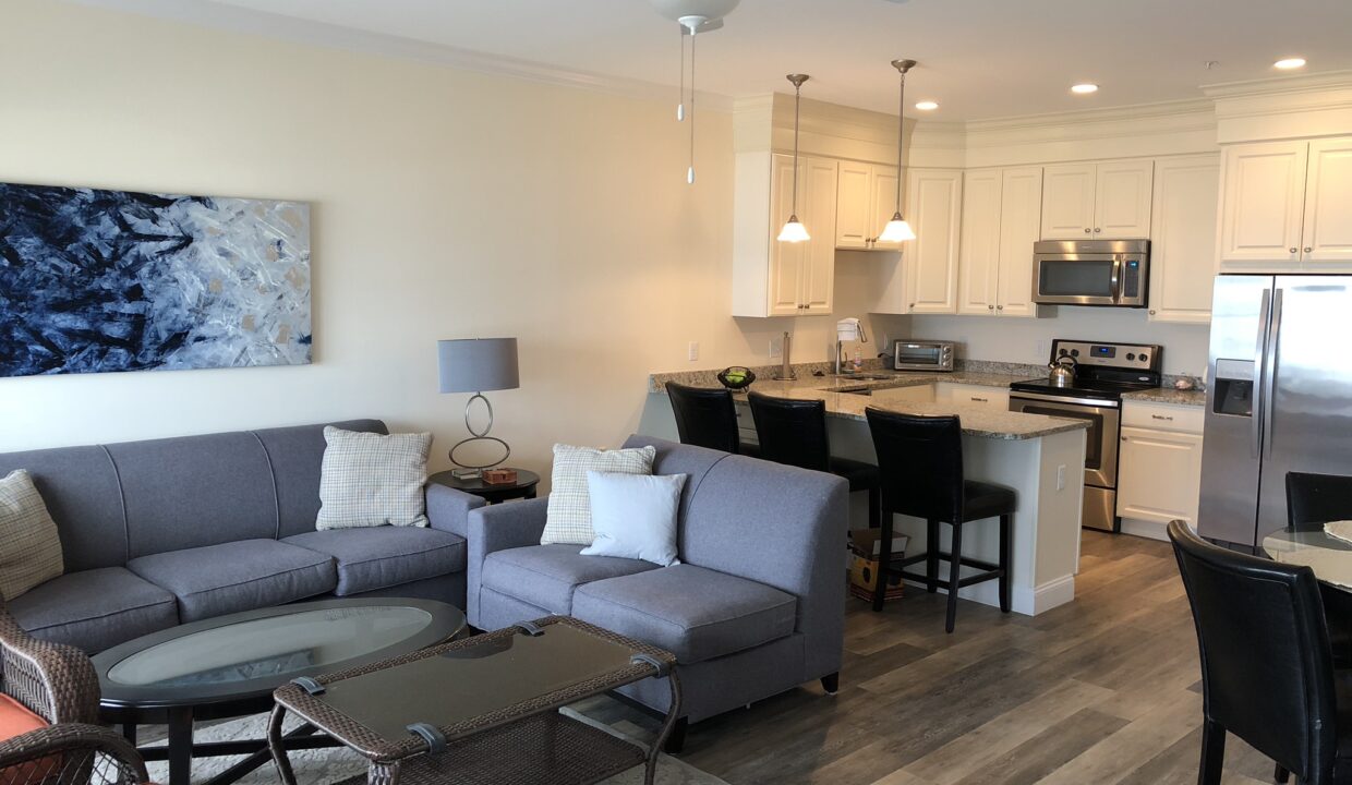 a living room filled with furniture and a kitchen.