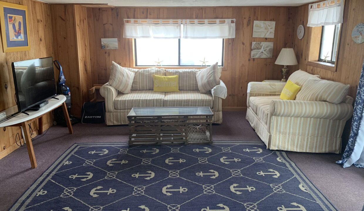 a living room filled with furniture and a blue rug.