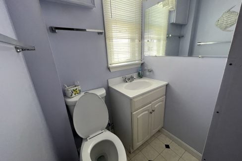 a white toilet sitting next to a sink in a bathroom.