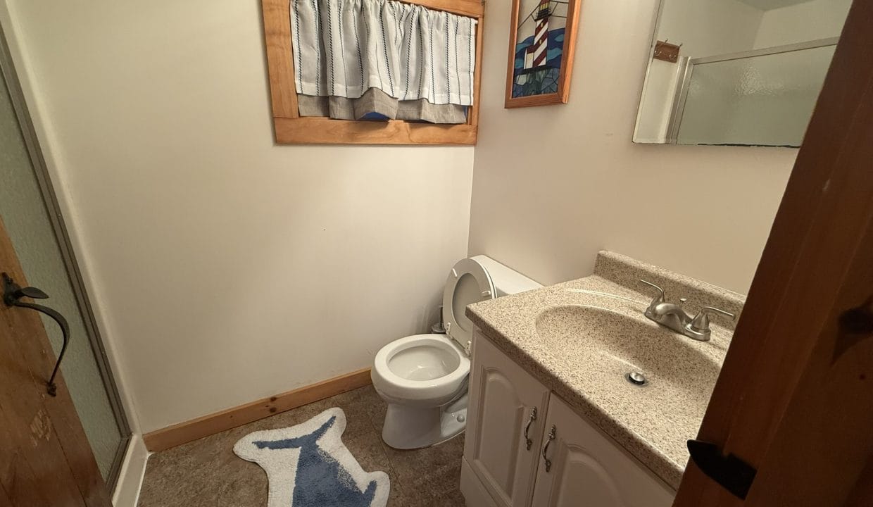 Small bathroom with a white toilet, beige vanity, mirror, shark-shaped rug, and window with a curtain. A decorative framed stained glass hangs on the wall.