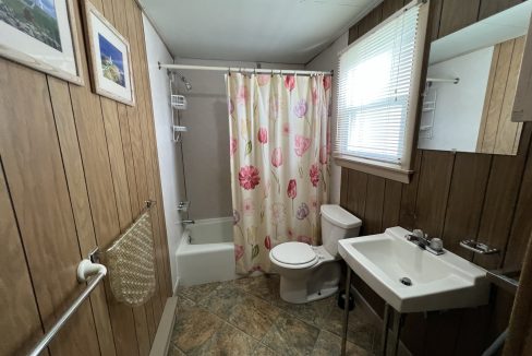 a bathroom with a sink, toilet, and shower.