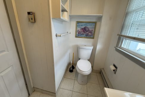 A small bathroom with a white toilet, plunger, toilet paper holder, shelves, and a framed painting of a lobster above the toilet. Window with blinds on the right.