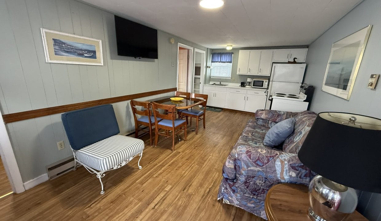 A small open-plan living area with a couch, dining table, chair, TV, and kitchen appliances, featuring wood flooring and blue-gray walls.