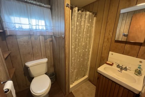 a bathroom with a toilet, sink, and shower.