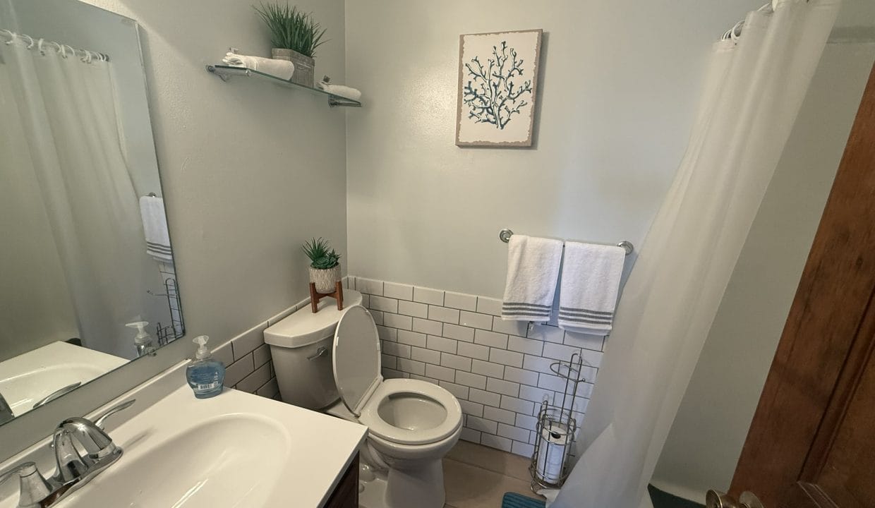 Small bathroom with a white sink, toilet, mirror, towels, shower curtain, blue bath mat, wall art, and potted plants on a shelf and toilet tank.