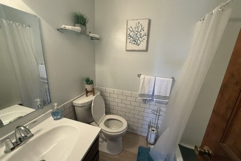 Small bathroom with a white sink, toilet, mirror, towels, shower curtain, blue bath mat, wall art, and potted plants on a shelf and toilet tank.