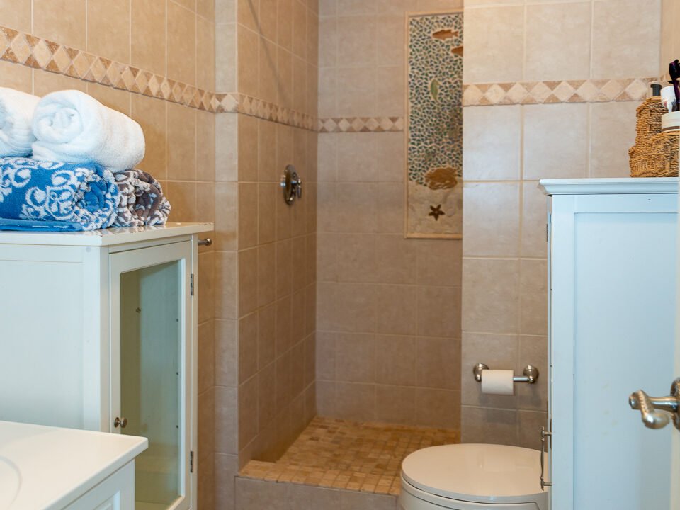 a white toilet sitting next to a walk in shower.