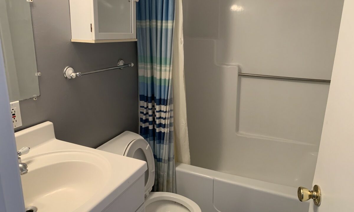 a bathroom with a sink, toilet, and shower.