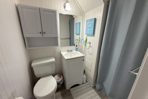 Small bathroom with white walls, a toilet, sink with cabinet, wall-mounted mirror, overhead light, shower with blue curtain, and wall art above a towel rack.