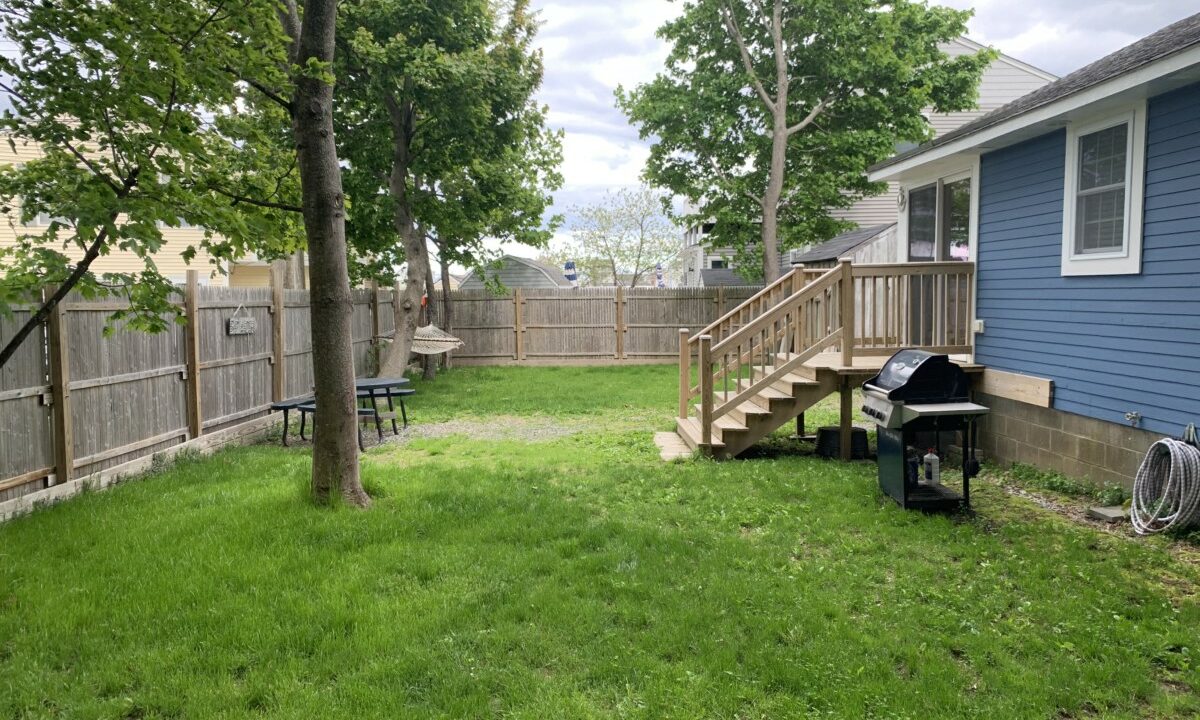 a back yard with a fence and a tree.