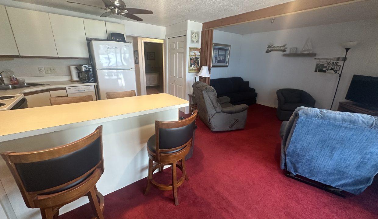 a living room with a kitchen and a couch.