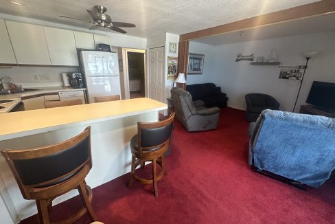 a living room with a kitchen and a couch.