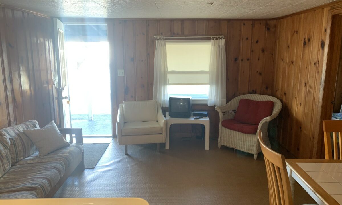 a living room filled with furniture and wooden walls.