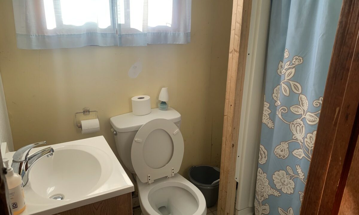 a bathroom with a toilet, sink, and shower.