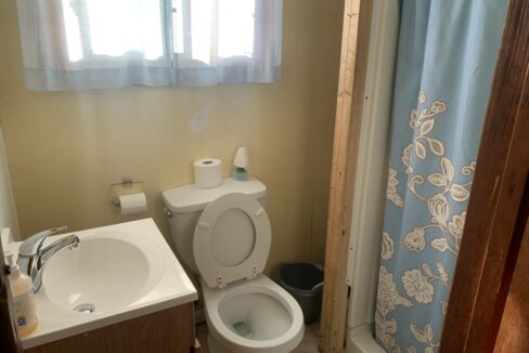 a bathroom with a toilet, sink, and shower.