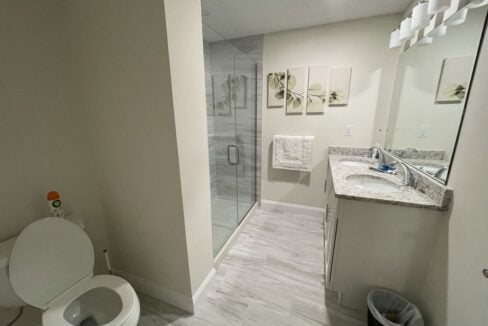 a white toilet sitting next to a walk in shower.