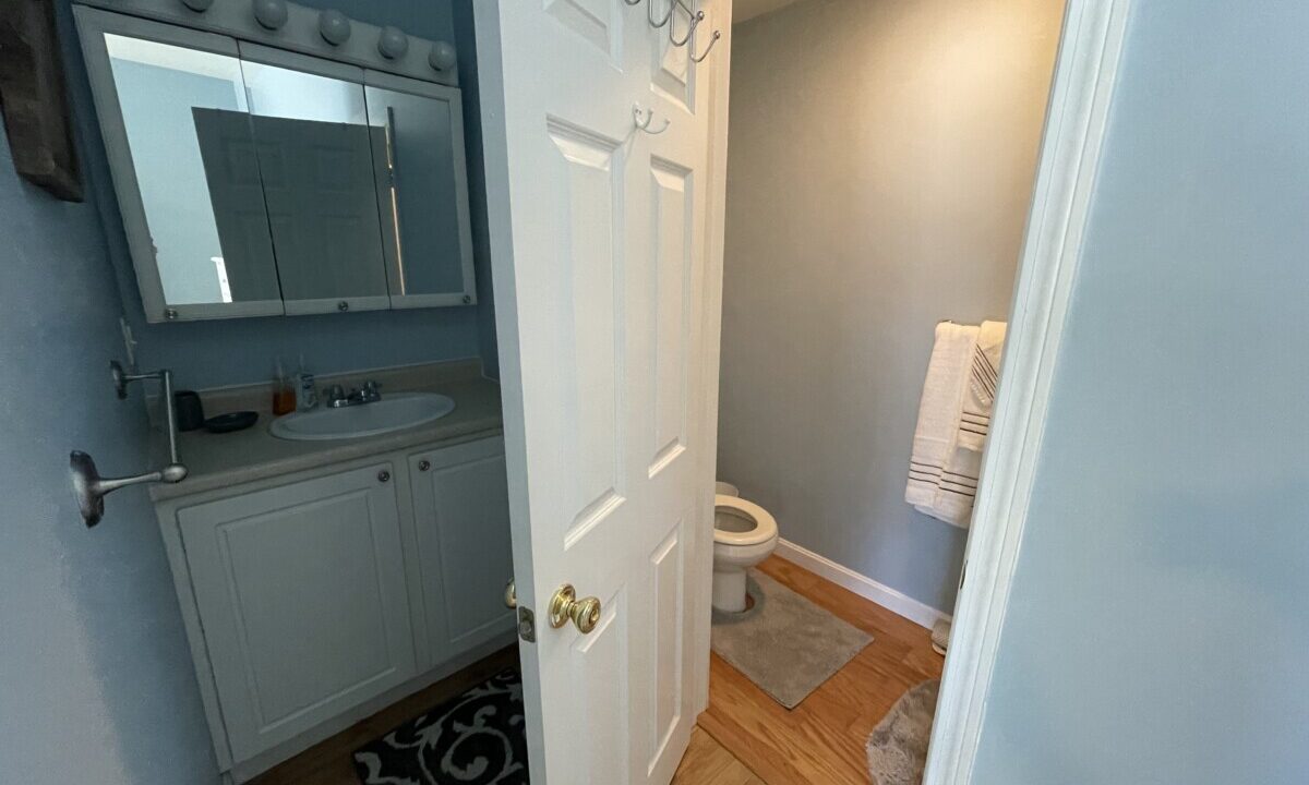 a bathroom with a sink, mirror, toilet and rug.