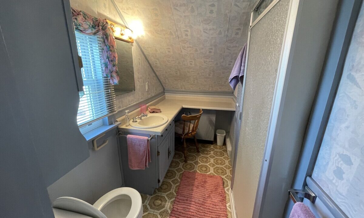 a bathroom with a toilet and a sink.