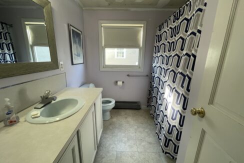 a bathroom with a toilet, sink, and shower curtain.