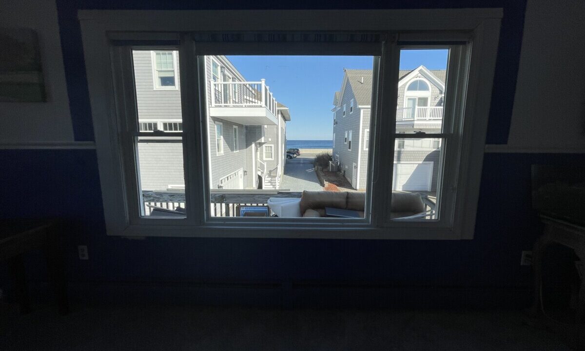 a dog is looking out of a window.