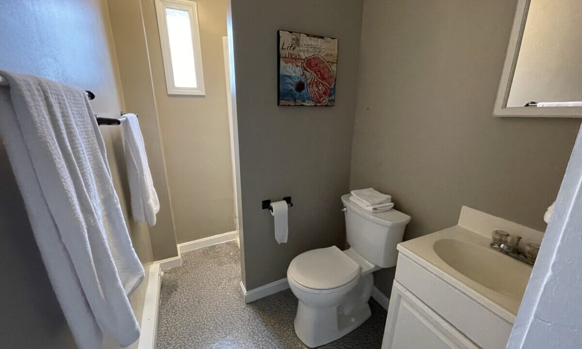 a white toilet sitting next to a white sink.