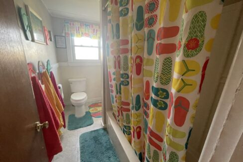 a bathroom with a colorful shower curtain and rugs.