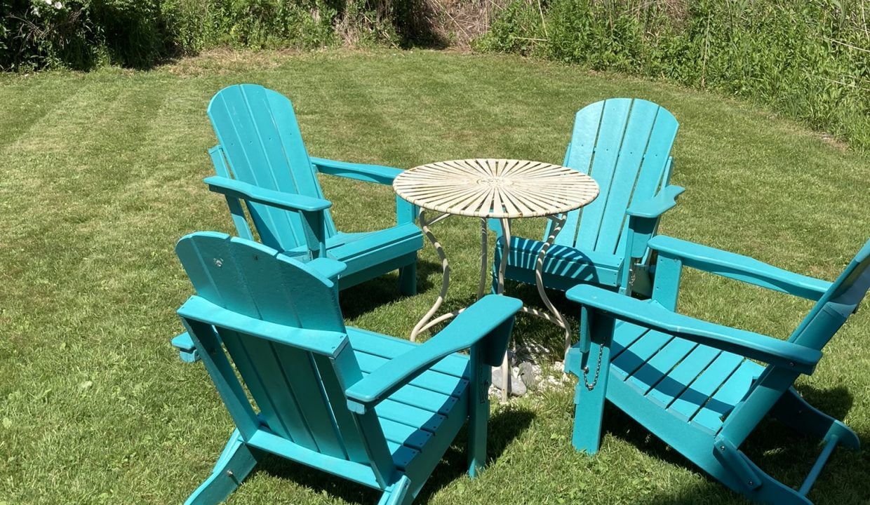 a dog sitting in the grass near a table and chairs.