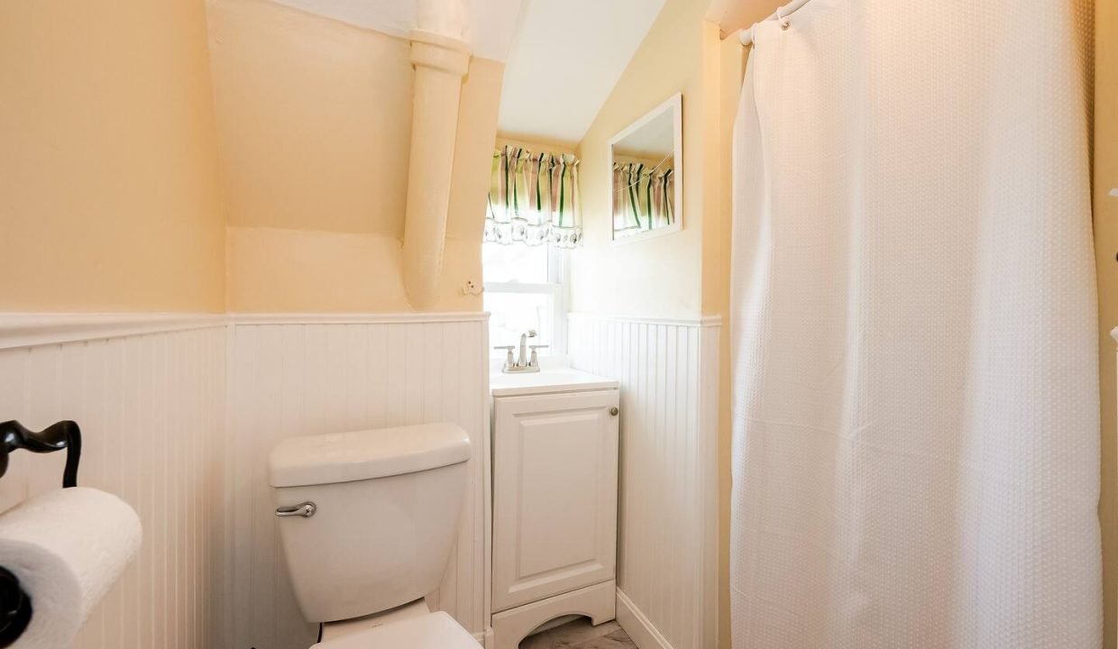 A bright, cozy bathroom with a white shower curtain, toilet, and vanity.