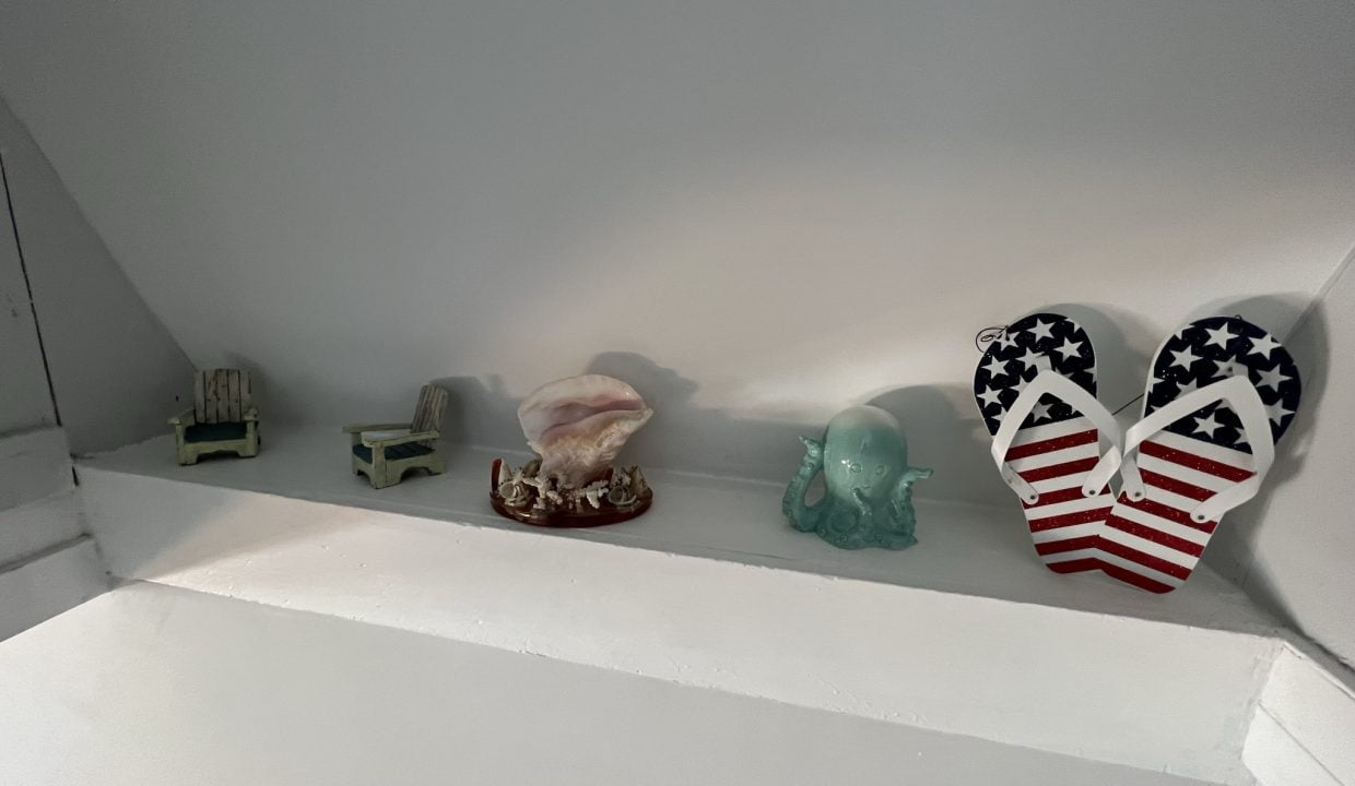 a pair of patriotic flip flops on a shelf.