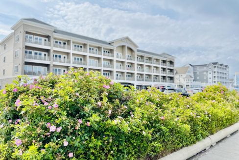 A building with bushes and flowers in front of it.