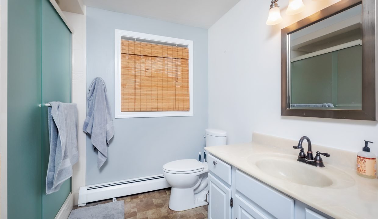 A bathroom with a toilet and sink.