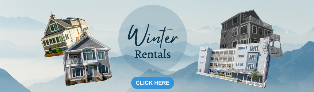 Winter rentals - screenshot thumbnail.