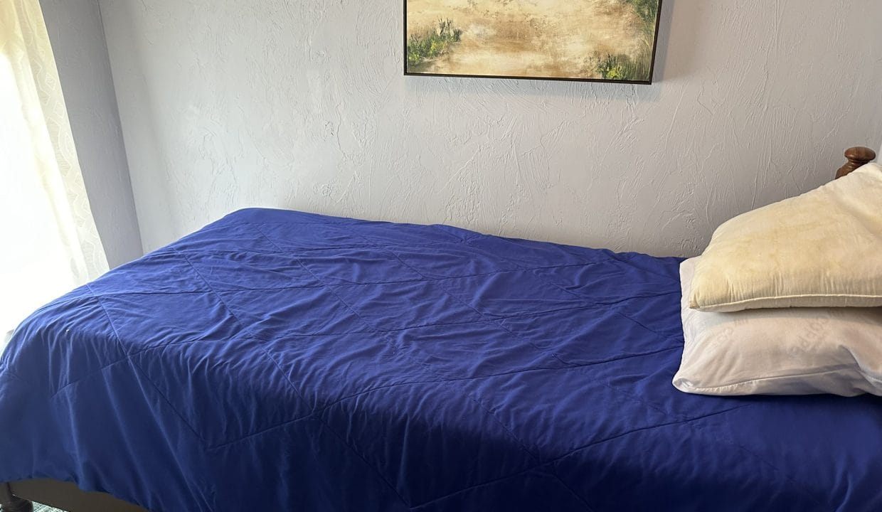 A twin bed with a blue comforter and two stacked pillows is positioned against a light-colored wall, beneath a landscape painting.