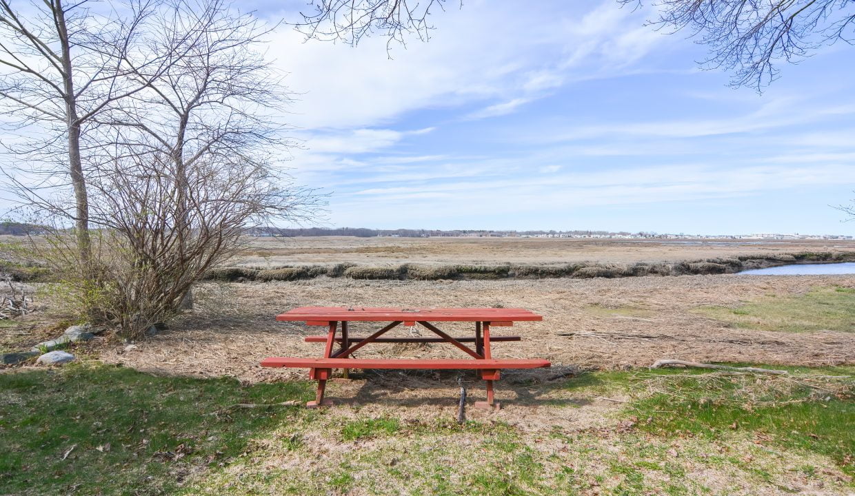 A red picnic table on grass near a leafless tree, overlooking a marsh with distant water and clear sky.
