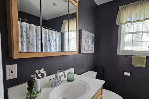 A small bathroom featuring a white sink with a green soap dispenser, dark walls, a wall-mounted mirror, and a window with curtains.