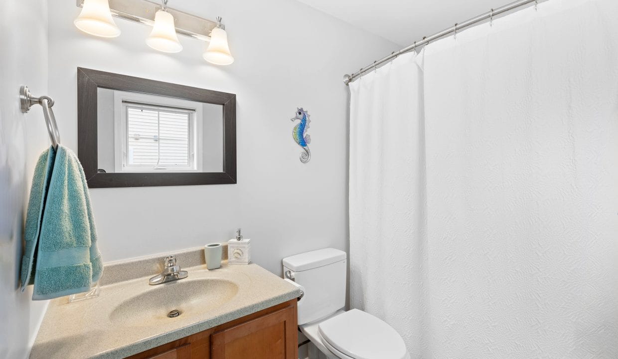 A small bathroom with a vanity and sink, a toilet, a mirror with lights above, a shower with a white curtain, and a seahorse decoration on the wall.