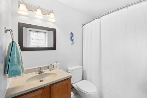 A small bathroom with a vanity and sink, a toilet, a mirror with lights above, a shower with a white curtain, and a seahorse decoration on the wall.