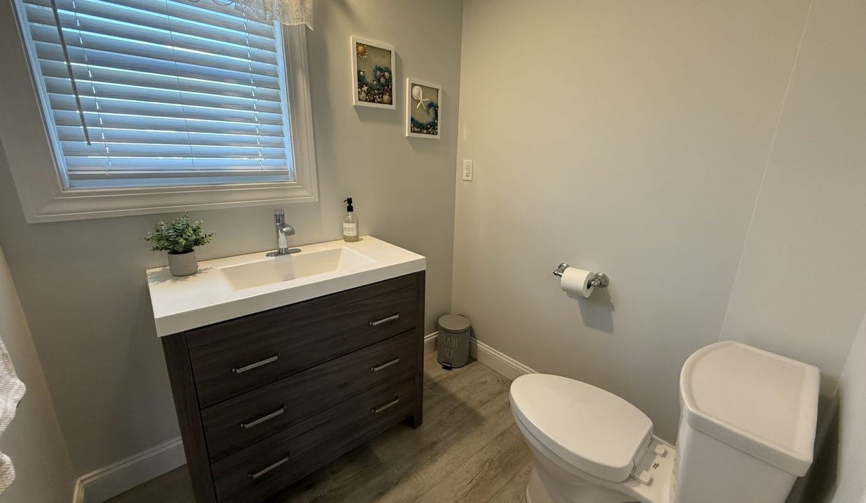 A small bathroom with a sink and vanity, toilet, wall-mounted artwork, window with blinds, and a plant on the counter.