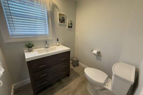 A small bathroom with a sink and vanity, toilet, wall-mounted artwork, window with blinds, and a plant on the counter.